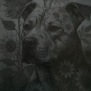 Pitbull Art